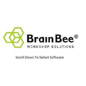 brain-bee-solutions-logo 1